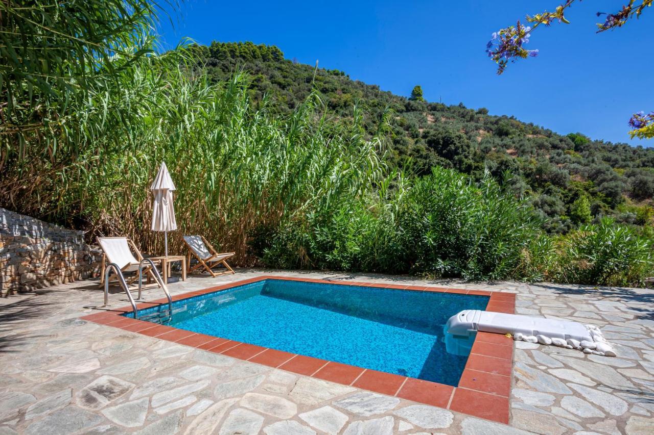 Olea Skopelos Villas With Swimming Pools & Sea View Panormos  Eksteriør billede