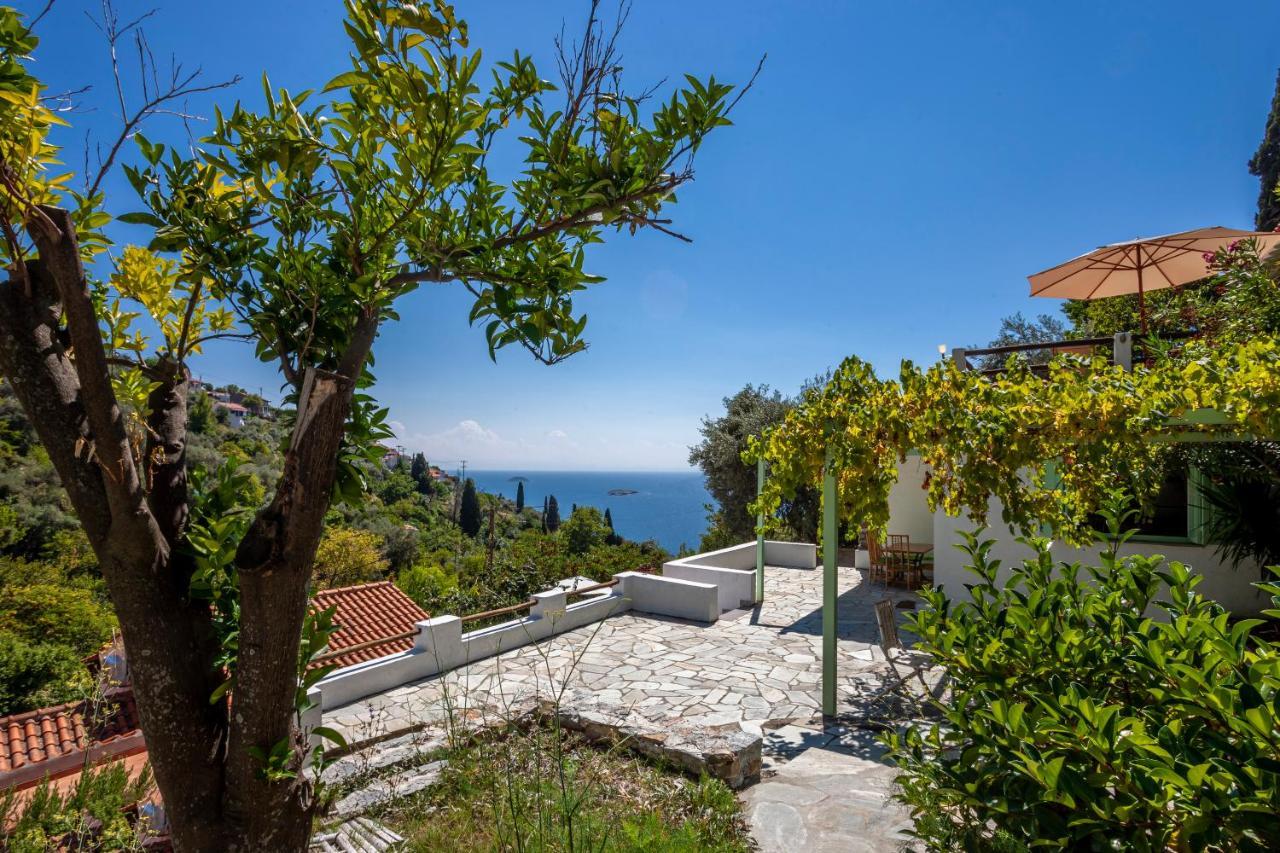 Olea Skopelos Villas With Swimming Pools & Sea View Panormos  Eksteriør billede