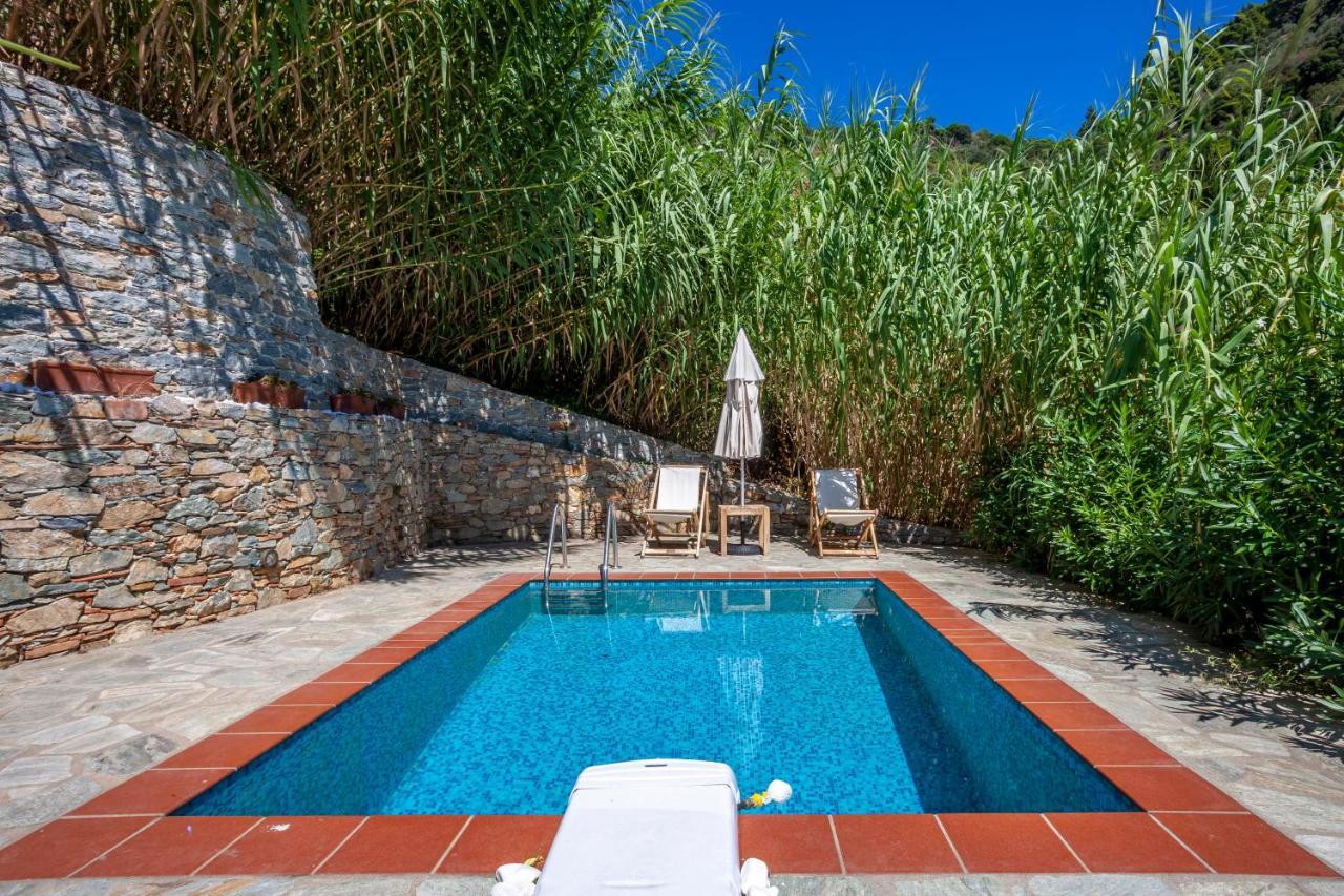 Olea Skopelos Villas With Swimming Pools & Sea View Panormos  Eksteriør billede