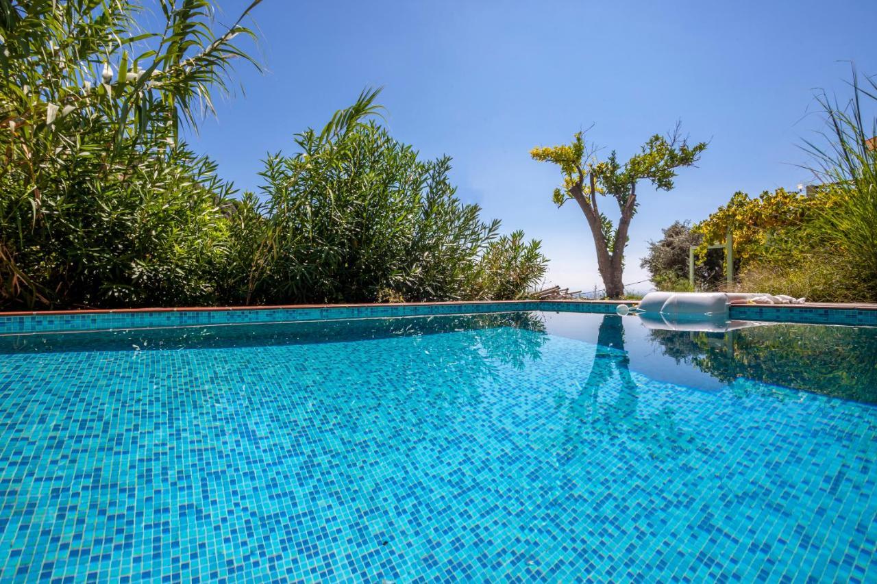 Olea Skopelos Villas With Swimming Pools & Sea View Panormos  Eksteriør billede