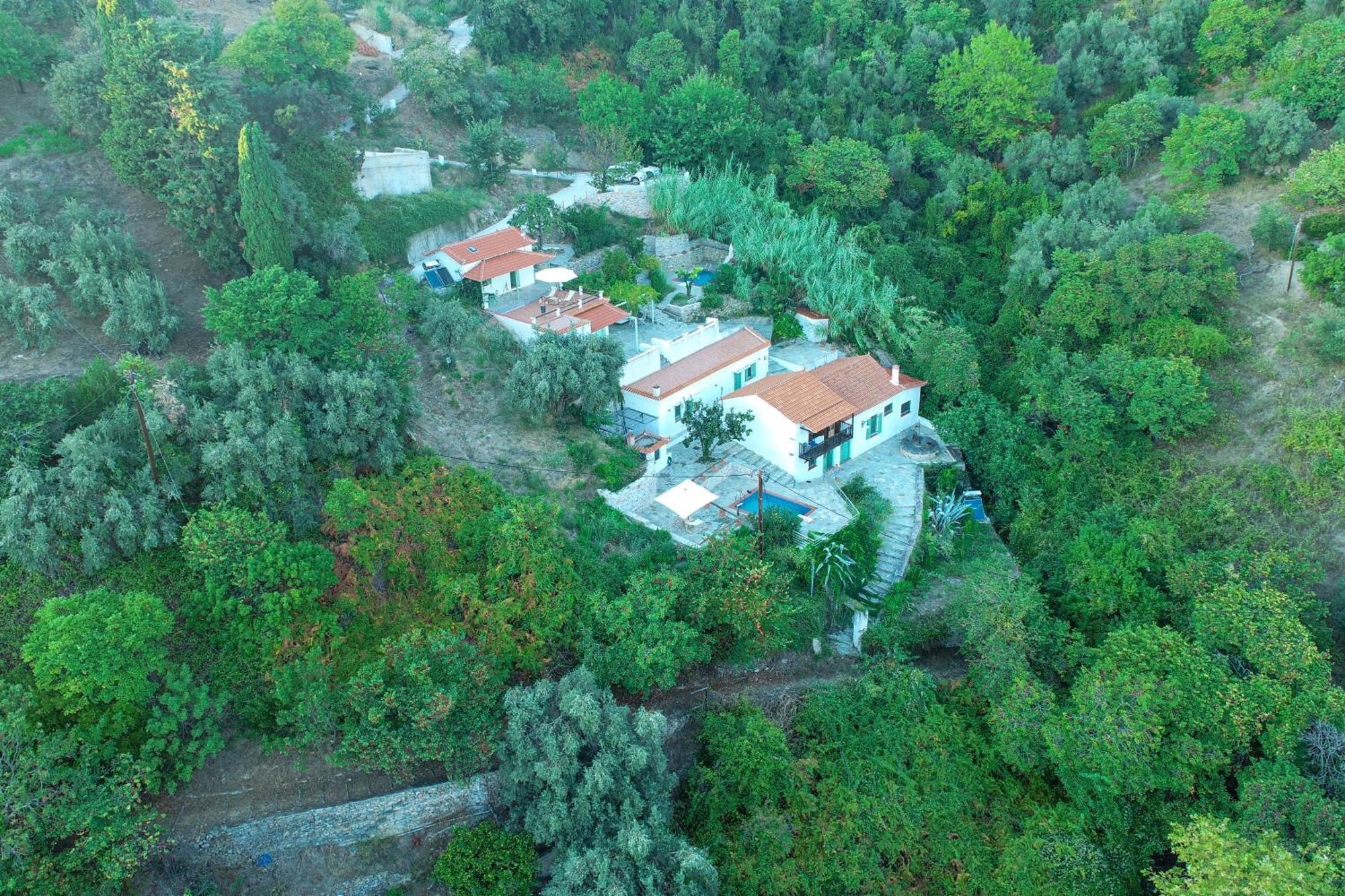 Olea Skopelos Villas With Swimming Pools & Sea View Panormos  Eksteriør billede